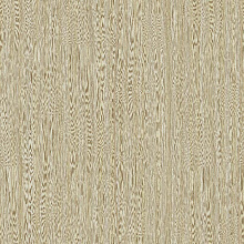 AltaGamma Materic 1VV 25710