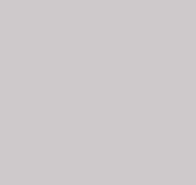 Детские серые обои Loymina Materials Lotus Universe LOT2, 305