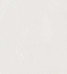 Bernardo Bartalucci Gaga  84284-1