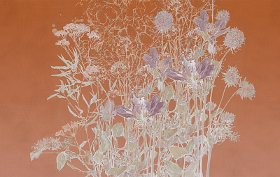 Фотообои PASCOLO 7, FLORA, Factura Фотообои PASCOLO 7, FLORA, Factura
