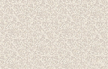 Milassa Casual 22 002/1