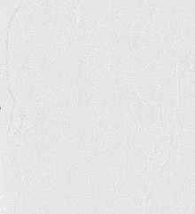 Bernardo Bartalucci Gaga  84284-15