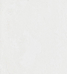 Bernardo Bartalucci Gaga  84284-9