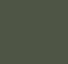 Зелёные обои в прихожую Loymina Materials Lotus LOT1, 905