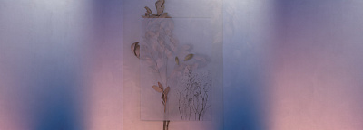 Фотообои EVIGILATIO 6, FLORA, Factura Фотообои EVIGILATIO 6, FLORA, Factura