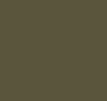 Зелёные обои в прихожую Loymina Materials Lotus LOT1, 135