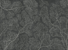 Чёрные фотообои Factura FLORA CROWNS 9