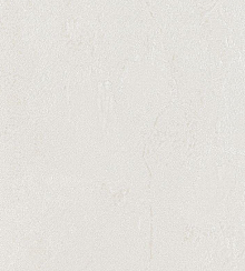 Bernardo Bartalucci Gaga  84284-6