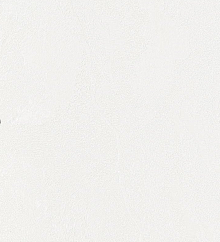 Bernardo Bartalucci Gaga  84284-4