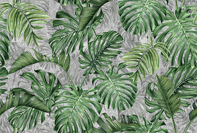 Фотообои Selva 3, СЕЛЬВА 18 / SELVA 18, Wall street